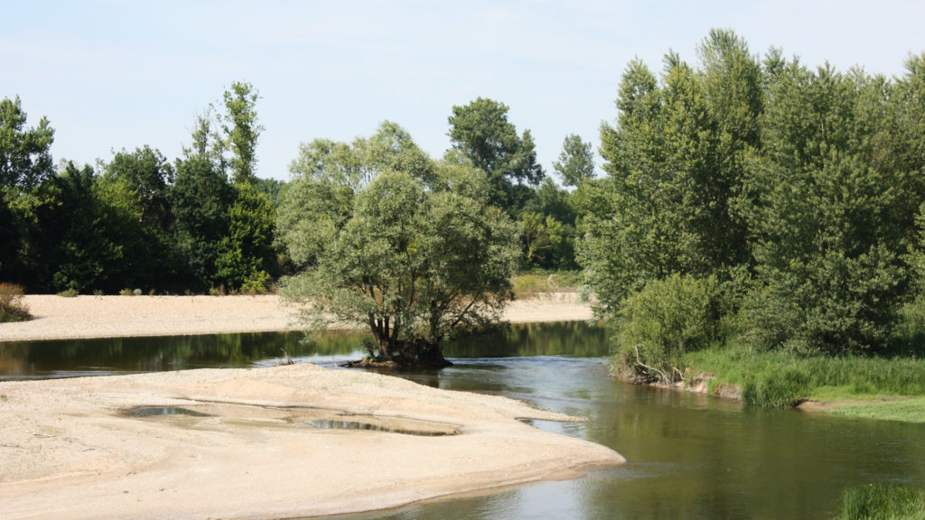 La Loire en été