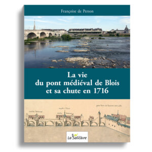 Pont médiéval de Blois