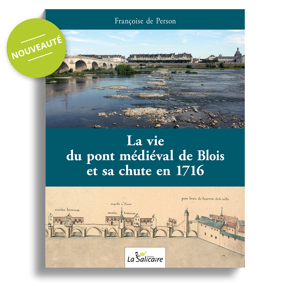 Pont médiéval de Blois